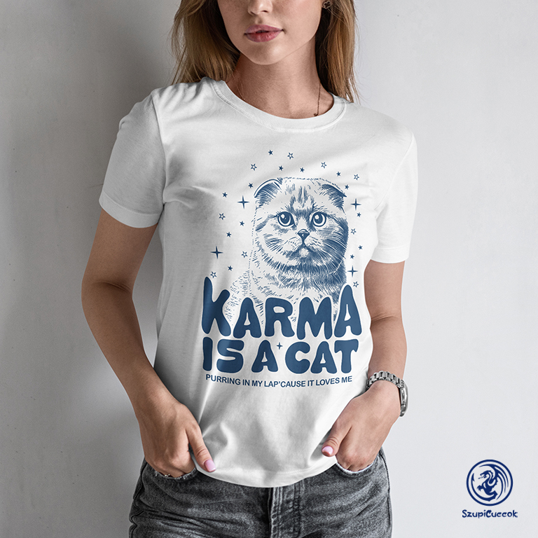 karma_is_a_cat_N_L_polo_latvanyterv másolata